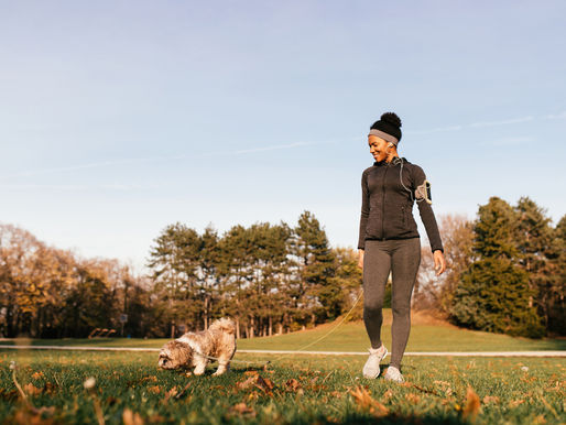 It's Active Dog Month - Get both you and your pooch moving.