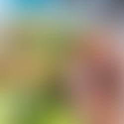 Nedbank Golf Challenge