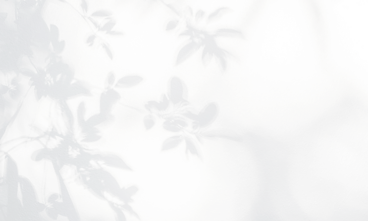 Leaves Shadow _edited.png
