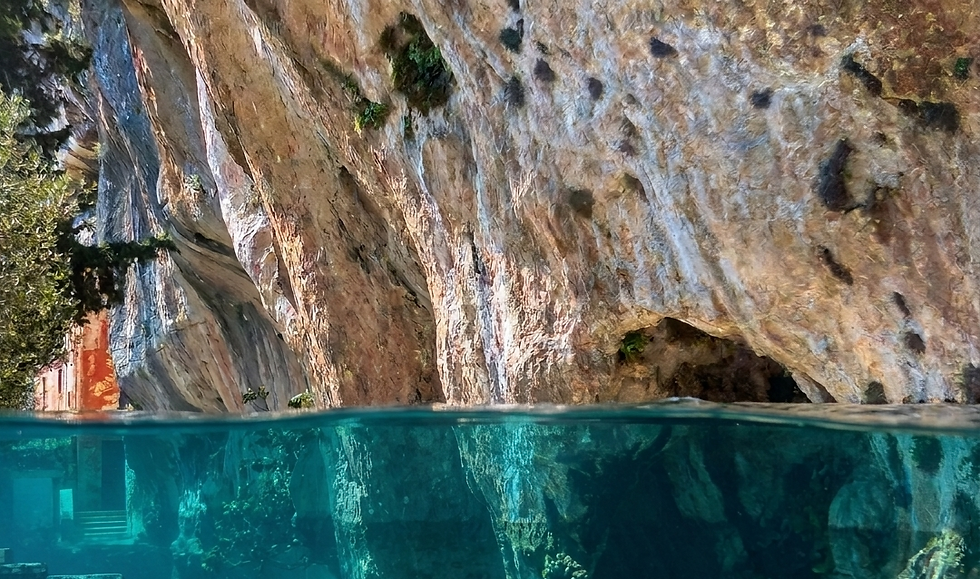 I COVOLI DEI COLLI BERICI