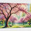 Thumbnail: Flower Art | Wall Art - Cherry Blossoms Art of a Park Bench