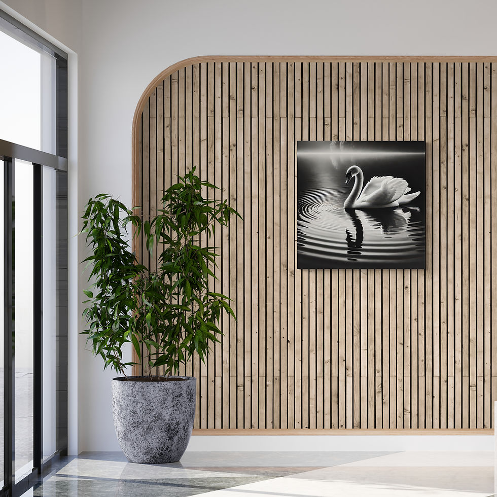 Thumbnail: Black and White Photography Canvas Wall Art of a Swan
