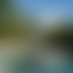 How to Create a Tropical Landscape in Your Backyard