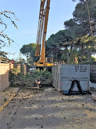 Interjardín diseño mantenimiento instalación de jardines en Cádiz