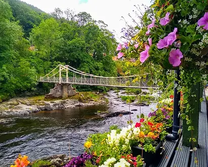 bridge, flowers and river - Copia.webp