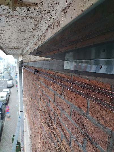 groeibegrenzer klimopstop