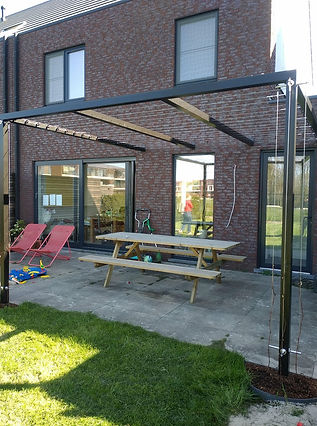 klimplanten pergola