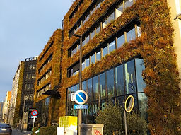 onderhoud groene gevel