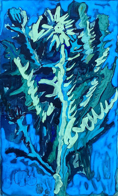 큰지느러미엉겅퀴 2대손 low.jpg