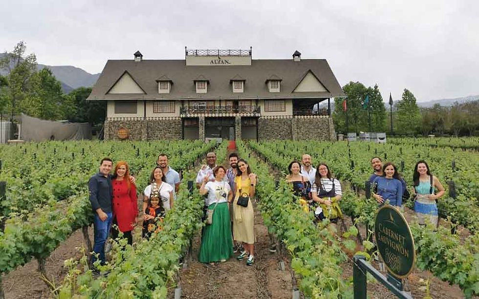 Miniatura: VIÑEDO ALYAN SUNSET