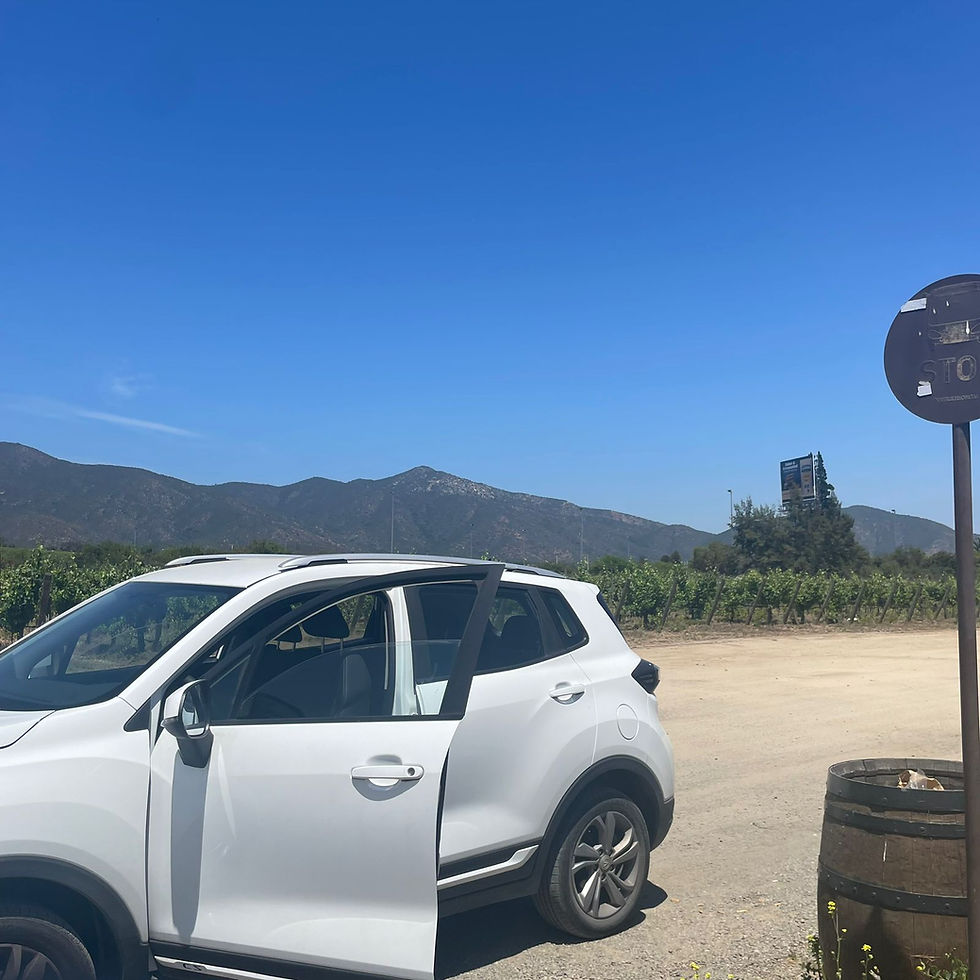 Thumbnail: TRANSFER VALPARAÍSO / SANTIAGO AIRPORT