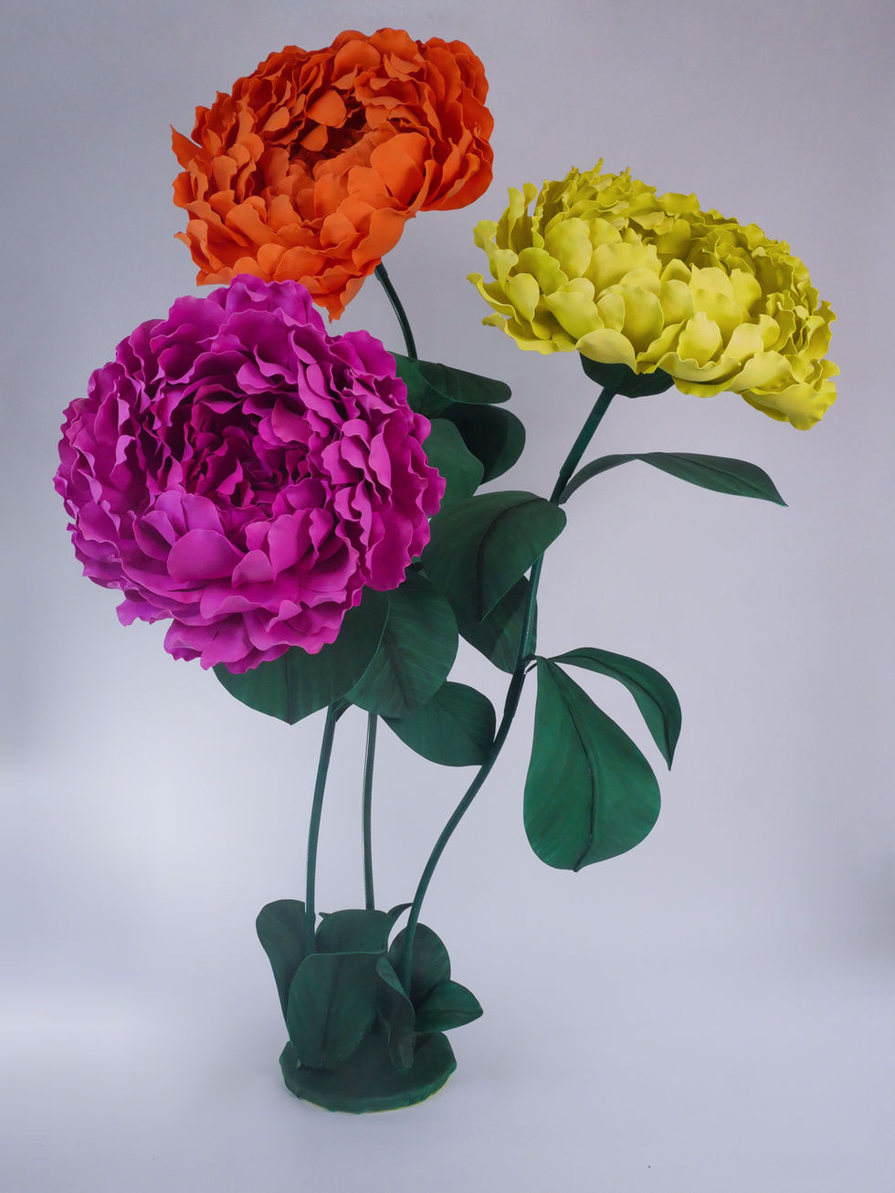 pivoines géantes pink rose 3