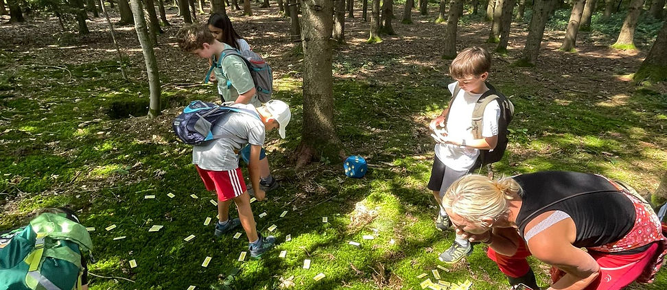 WhatsApp Image 2026-01-04 at 10.26.54.jpeg