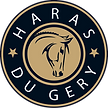 Logo HG png.png
