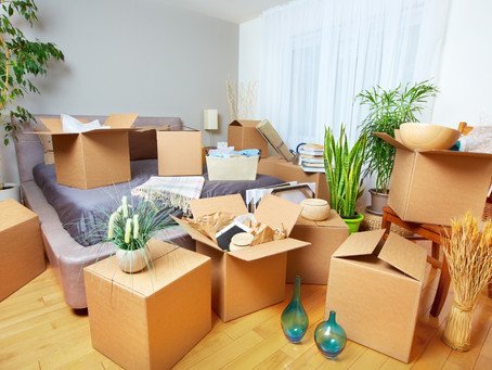 Why Hire Professional Packers?