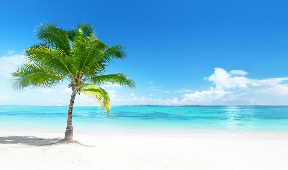 shutterstock_1029371749.jpg