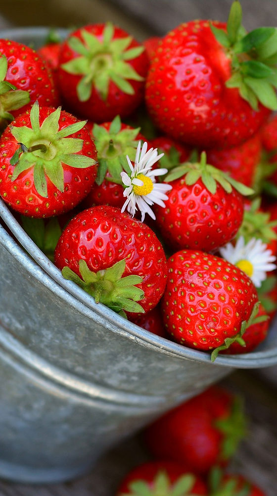 strawberries-3431122_1920.jpg