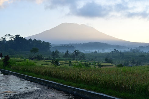DSC_3879.JPG