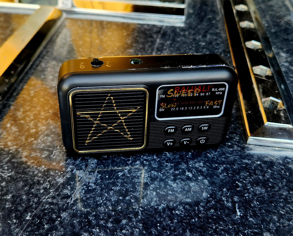 Thumbnail: Ghost Radio Small Handheld