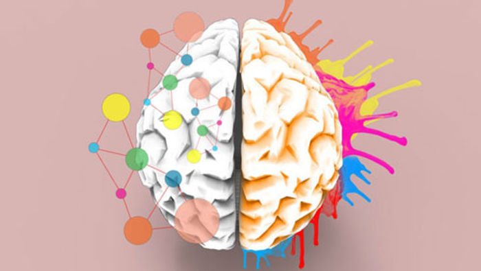 Therapeutic art and brain injury - the creative brain