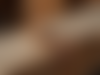 How to Prevent Termite Damage Before It Starts