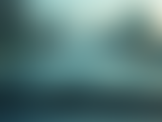 Keep Your Car Safe with Windshield Protection Film