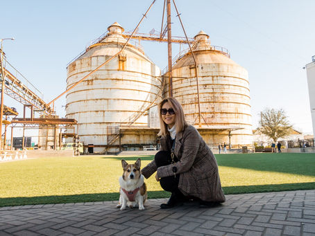 The Complete Guide to Magnolia Market at The Silos in Waco, Texas (2022)