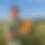 Miniaturbild: Sönke hält auf seinem Feld eine Versandbox mit Kürbissen und Bioland Süßkartoffeln in den Händen und präsentiert sie