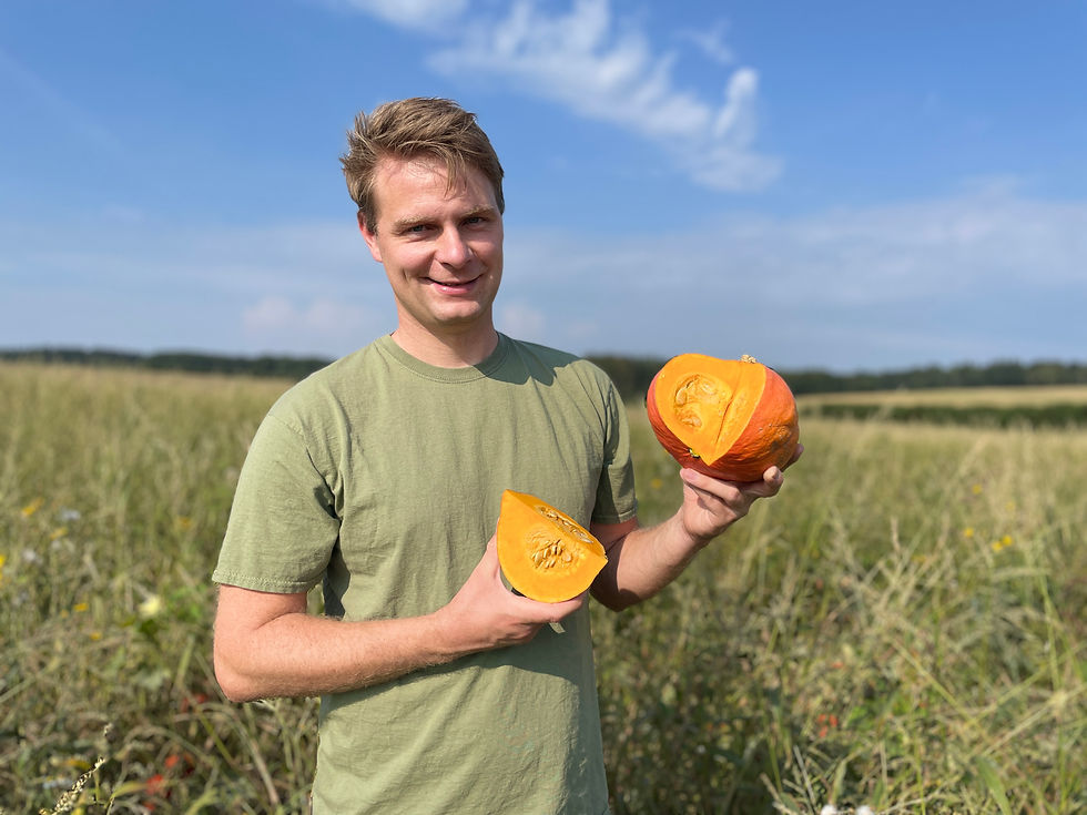 Miniaturbild: Sönke Strampe vom Biohof in der Lüneburger Heide hält einen aufgeschnittenen Hokkaido in den Händen