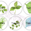 Thumbnail: Greenery Labels | Circle & Rectangle | Editable