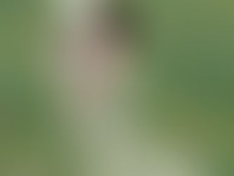 O poder do se notar...