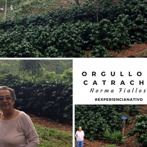 Productor: Norma Iris Fiallos