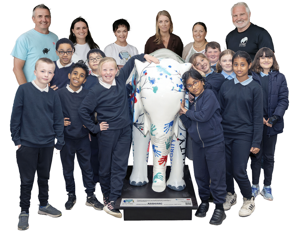 Elephant in the room (1) (1).png