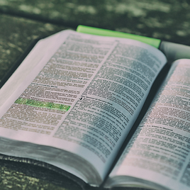 Copy of VBS (14).png