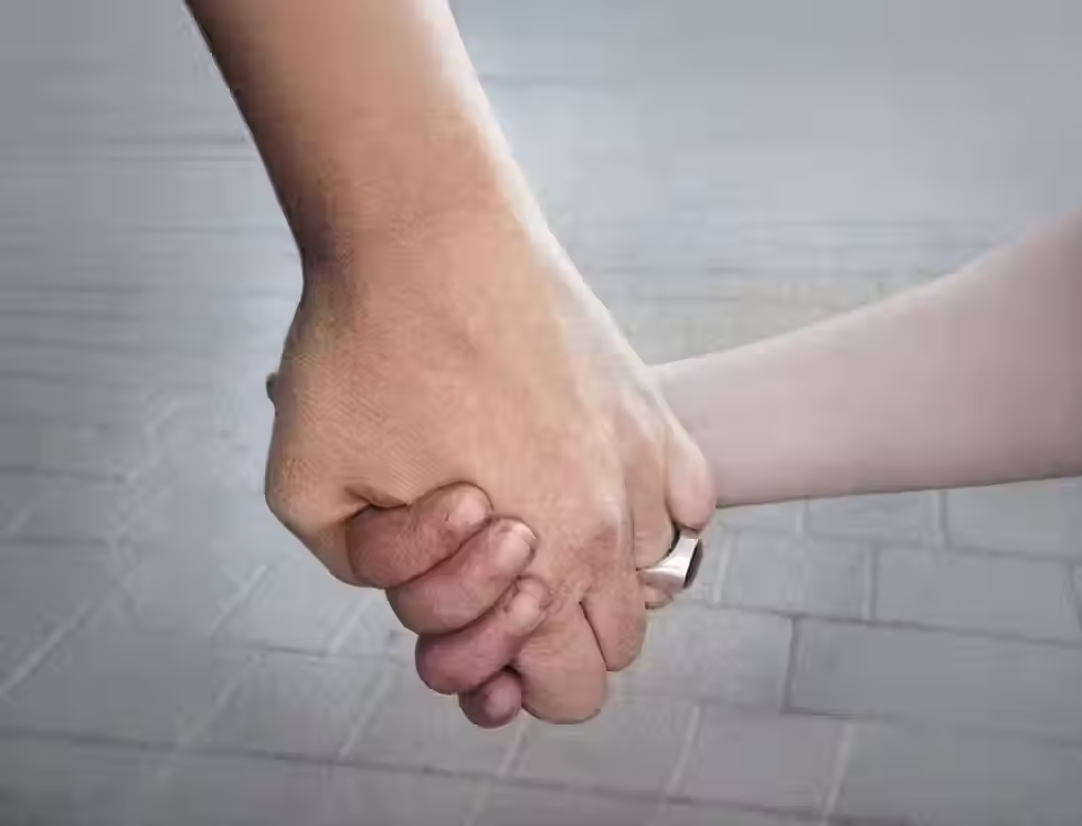 elipse hands.avif