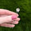 Thumbnail: Sterling silver floral hair pin