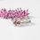 Thumbnail: Handmade silver botanical ring