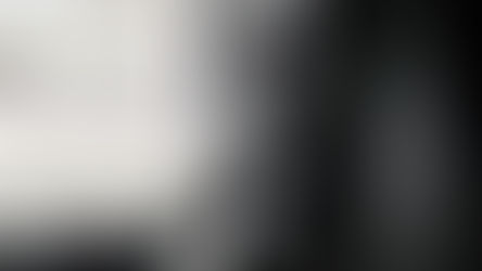 WoHo systems at the MIT Paris Symposium