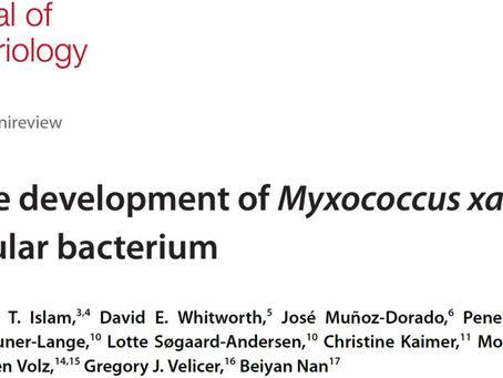Jun. 17, 2025 — New article published in Journal of Bacteriology!
