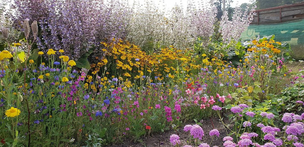 allotment_july14