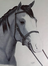 O cavalo - Caneta esferográfica preta. Dimensões: 60cm x 50cm