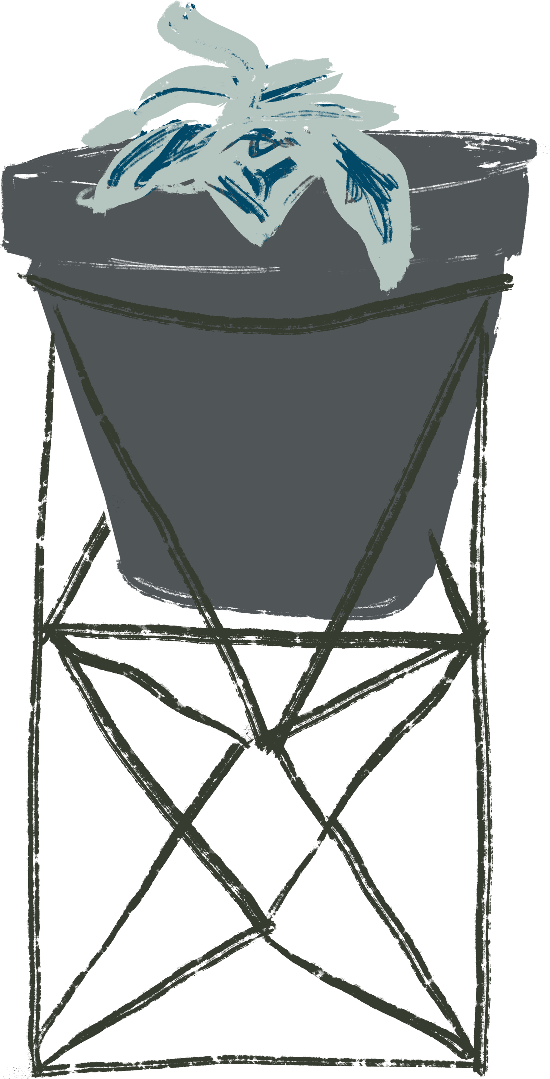 鉢植えのイラスト