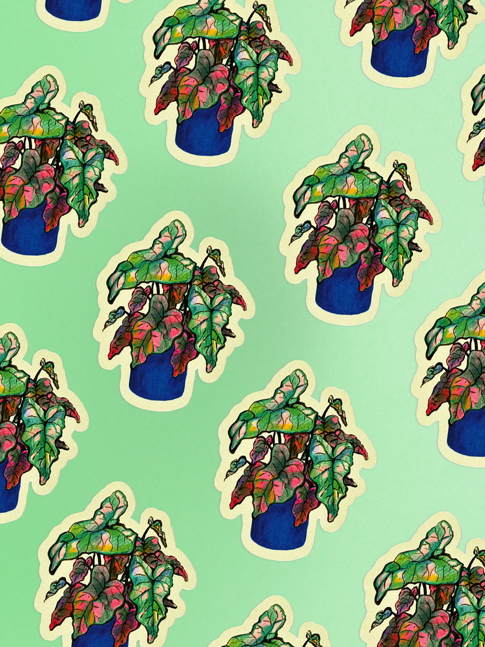 Caladium Plant Sticker Zoom View