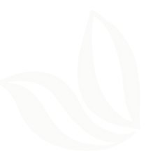 LEAVES-01.png