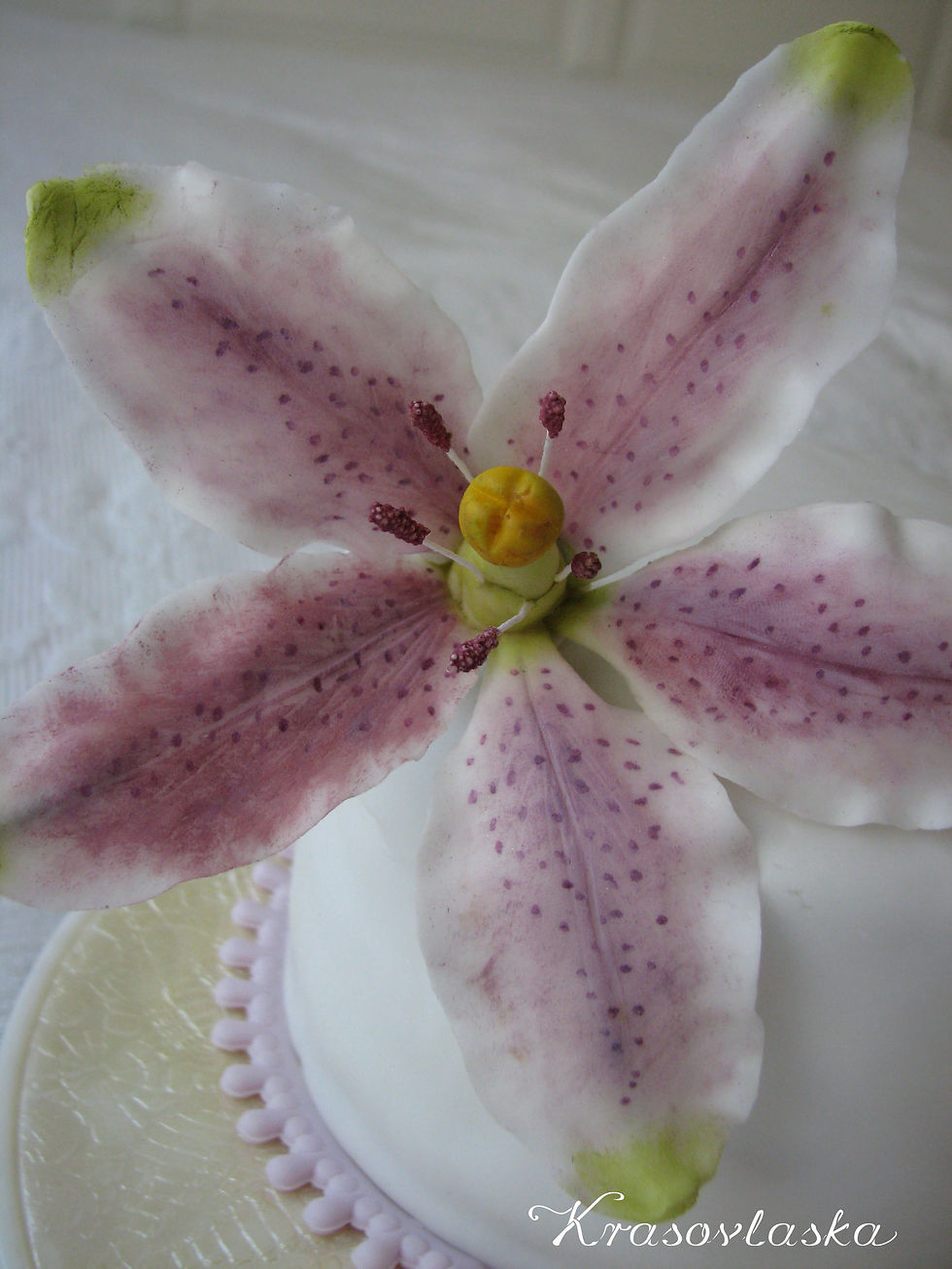 Lilly II. detail ľalie