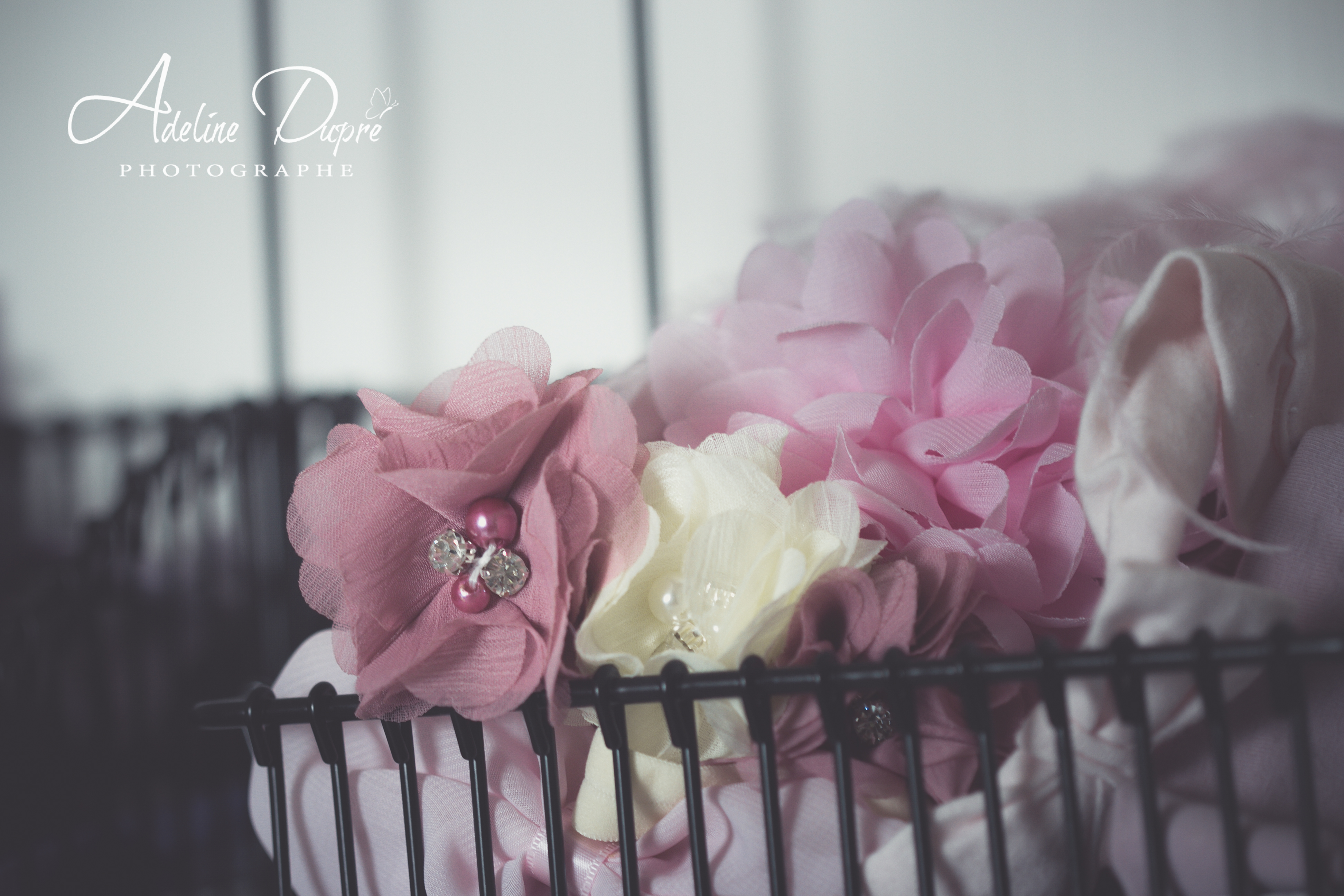 Adeline_Dupré-4302