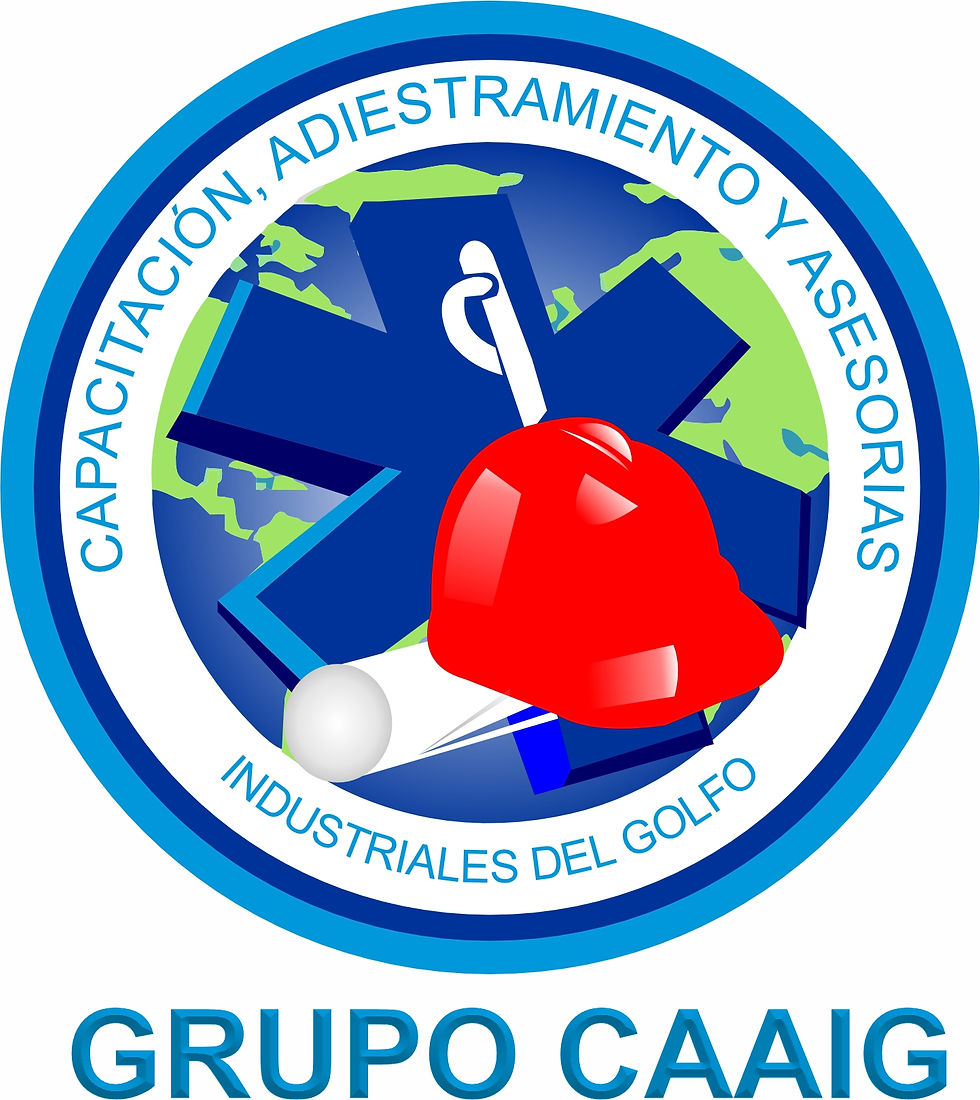 LOGO CAAIG