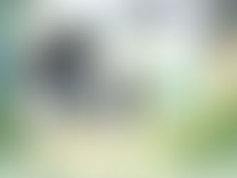 Spring Tech Tip: Is Your Security System Ready for the Season?