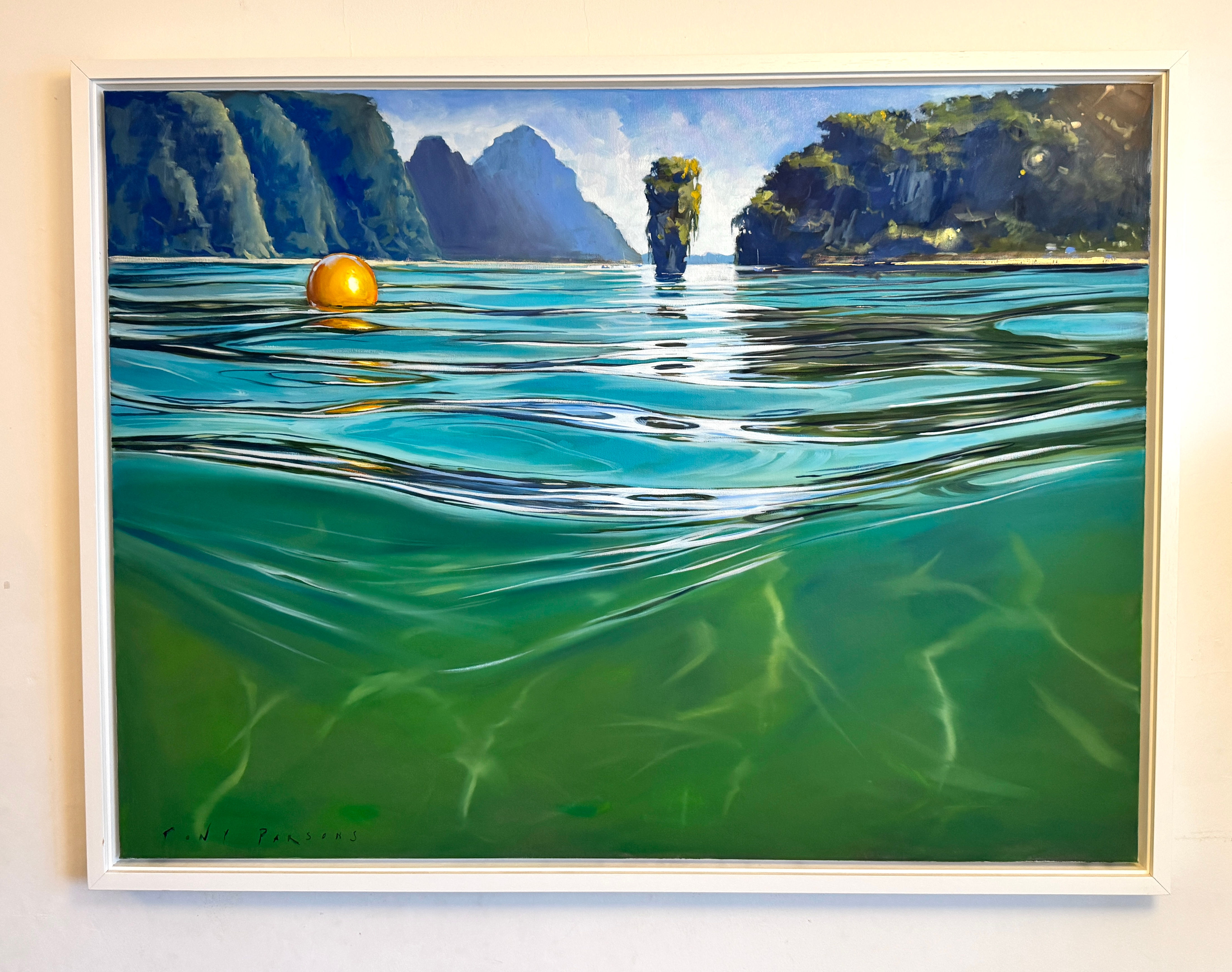 ‘A study in the nature of reflection’