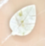 white calcite and serpentine leaf